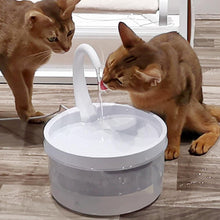 Lade das Bild in den Galerie-Viewer, Kittyspring - Ergonomische und Hygienische Wassertränke für Deine Katze
